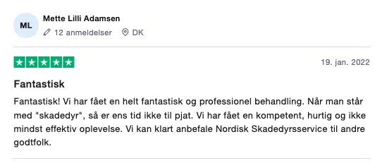 Trustpilot anmeldelse Nordisk Skadedyrservice