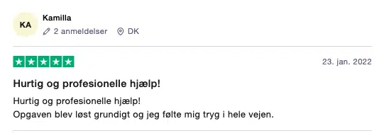 Trustpilot anmeldelse Nordisk Skadedyrservice