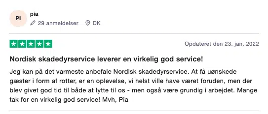 Trustpilot rotte anmeldelse Nordisk Skadedyrservice