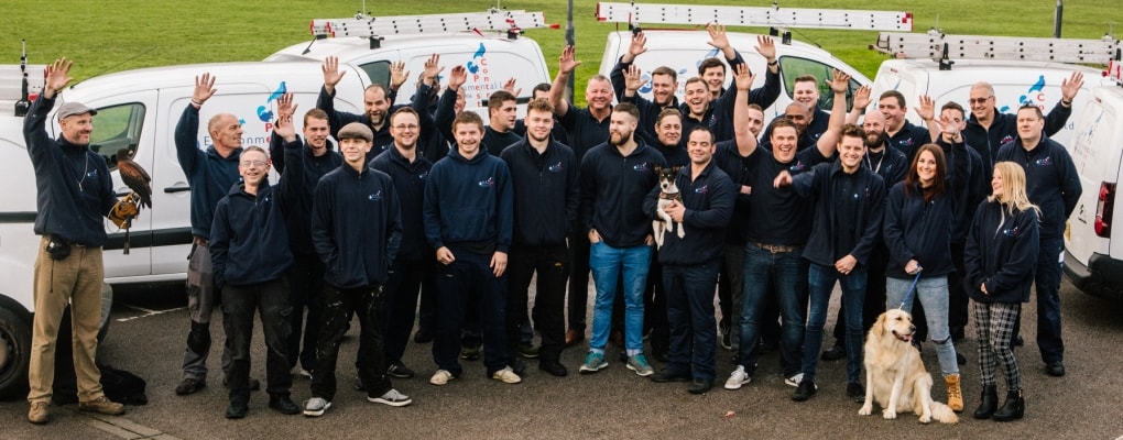 about | Nordisk Skadedyrservice