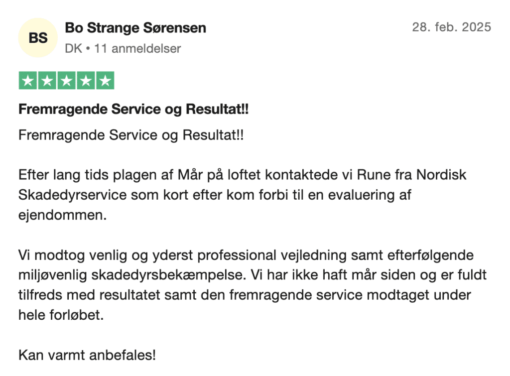 Mød Nordisk Skadedyrservice | Nordisk Skadedyrservice husmaar trustpilot anmeldelse | Nordisk Skadedyrservice