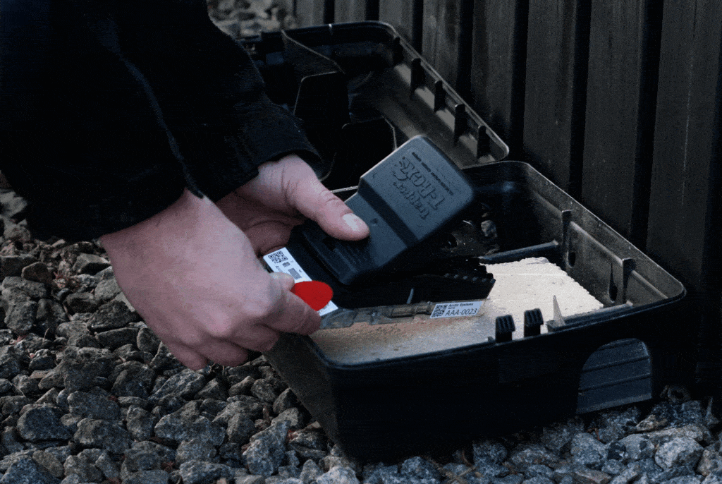 Ratmo | Nordisk Skadedyrservice ratmo 2 | Nordisk Skadedyrservice